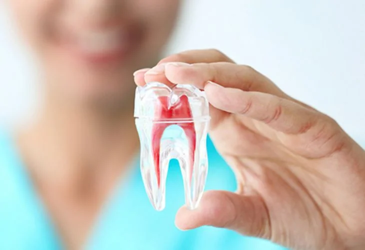 Endodontia (Canal)